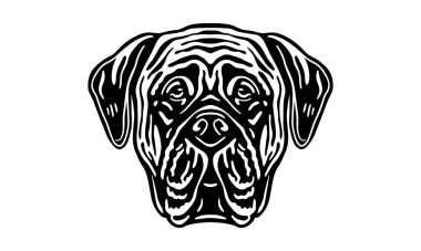 Mastiff baş illüstrasyonu, vektör, el çizimi, siyah beyaz, aydınlık arkaplanda izole edilmiş.