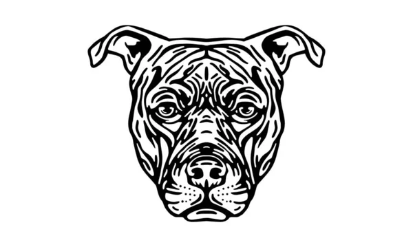 American Pit Bull Terrier Huvud Illustration Vektor Handritade Svart Och — Stock vektor