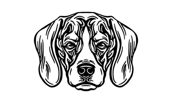 Ilustración Cabeza Beagle Vector Dibujado Mano Blanco Negro Aislado Sobre — Vector de stock
