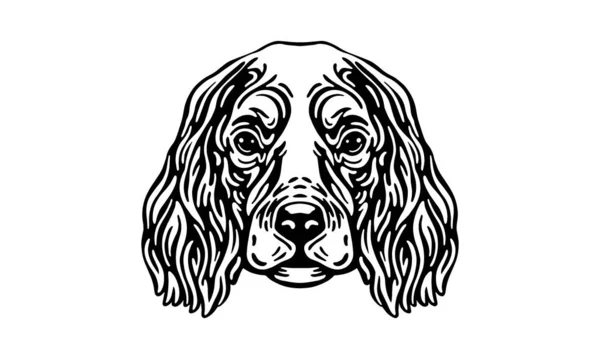 Englisch Cocker Spaniel Kopf Illustration Vektor Handgezeichnet Schwarz Weiß Isoliert — Stockvektor