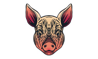 Domuz Çini burcu tabelası. Hafif mod arkaplan dokusu ve domuz çizimi. Vektör illüstrasyonu ve dekoratif öğeler.