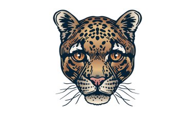 Bulutlu leopar baş illüstrasyonu, vektör, el çizimi, ışık arka planında izole edilmiş.