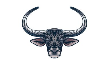 Hafif arka planda vahşi su bufaloları, vektör, illüstrasyon logosu, işaret, amblem.