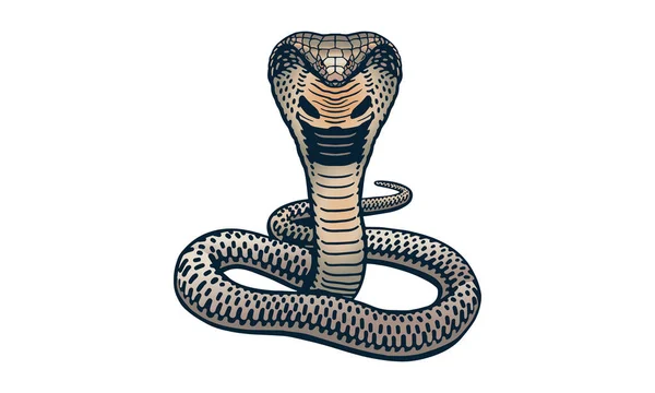 Cobra Sfondo Chiaro Vettore Logo Illustrazione Segno Emblema — Vettoriale Stock