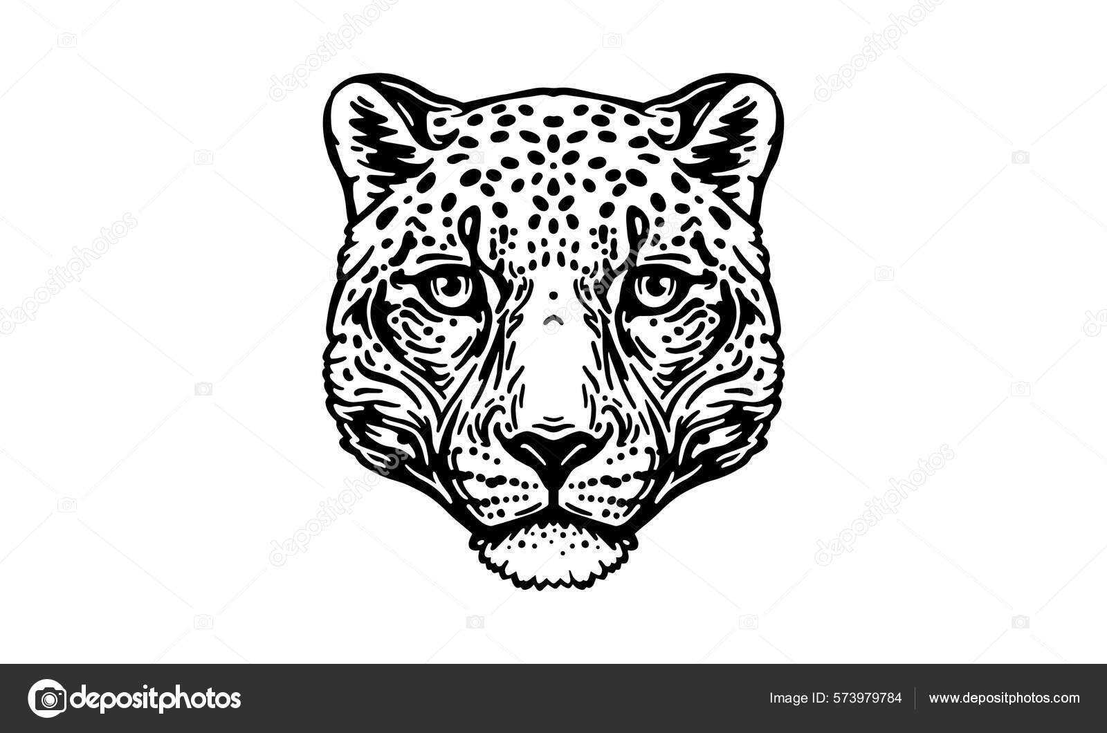 Snow Leopard White Background Vector Illustration Logo Sign Emblem