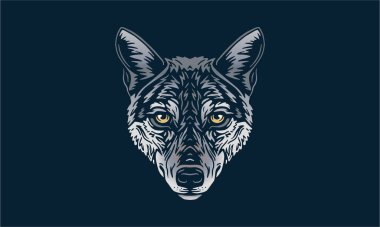 Koyu arkaplanda Hint kurdu, vektör, illüstrasyon logosu, işaret, amblem.