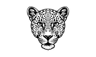 Beyaz arka planda Hint leoparı, vektör, illüstrasyon logosu, işaret, amblem.