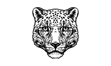 Beyaz arkaplanda kar leoparı, vektör, illüstrasyon logosu, işaret, amblem.