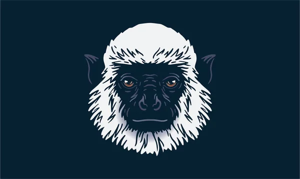 Gray Langur Ciemnym Tle Wektor Ilustracja Logo Znak Godło — Wektor stockowy