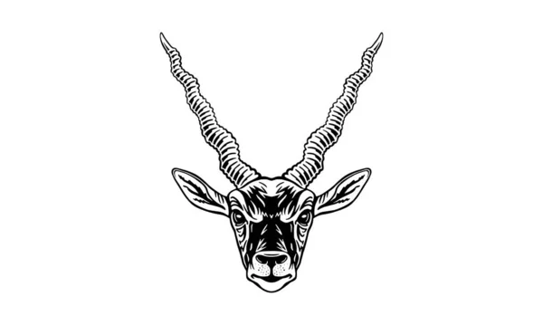 Blackbuck Fundo Branco Vetor Logotipo Ilustração Sinal Emblema — Vetor de Stock