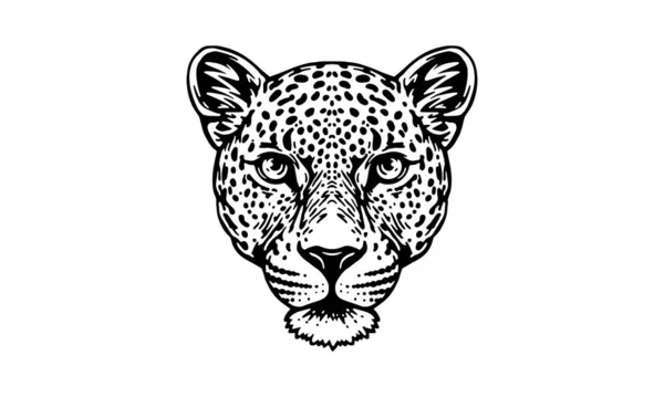 Leopardo Indio Sobre Fondo Blanco Vector Logotipo Ilustración Signo Emblema — Vector de stock