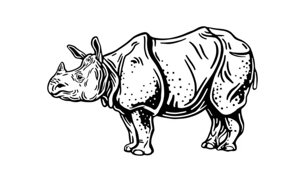 Indian Rhinoceros White Background Vector Illustration Logo Sign Emblem — Stock Vector