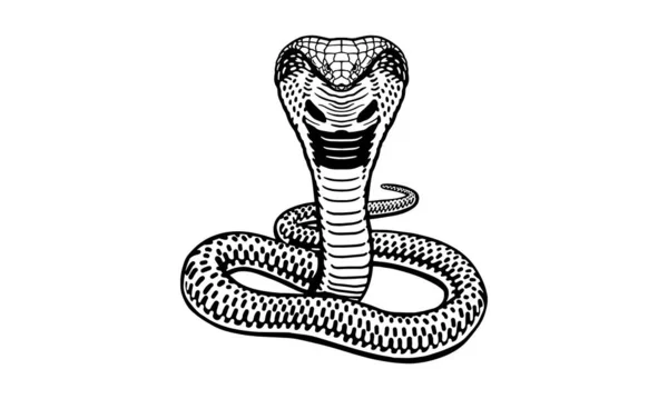 Cobra Sfondo Bianco Vettore Logo Illustrazione Segno Emblema — Vettoriale Stock