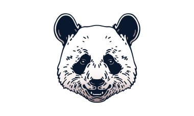 Panda baş illüstrasyonu, vektör, el çizimi, ışık arkaplan izole.