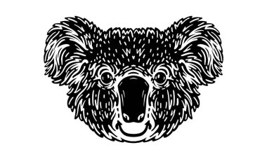 Koala baş illüstrasyonu, vektör, el çizimi, ışık arkaplan üzerinde izole.