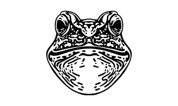 カエルの頭のイラスト ベクトル 手描き 光の背景に孤立 — ストックベクタ