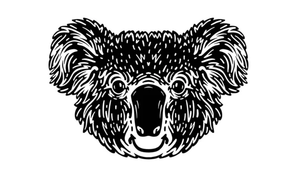 Koala Cap Ilustrare Vector Desenat Manual Izolat Fundal Luminos — Vector de stoc