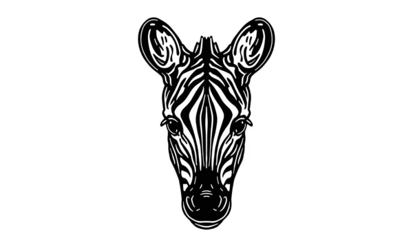 Illustrazione Testa Zebra Vettore Disegnato Mano Isolato Sfondo Chiaro — Vettoriale Stock