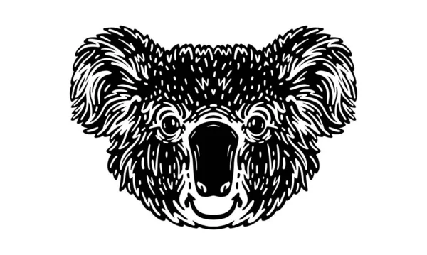 Koala Illustration Tête Vecteur Dessiné Main Isolé Sur Fond Clair — Image vectorielle