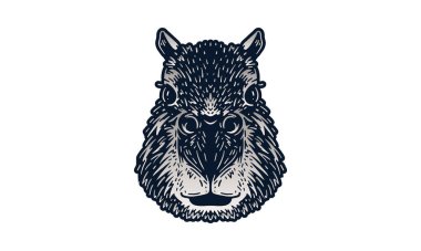 Capybara baş illüstrasyon, vektör, el çizimi, ışık arkaplanı izole.
