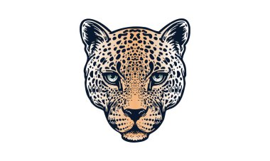 Leopar baş illüstrasyonu, vektör, el çizimi, ışık arka planında izole.