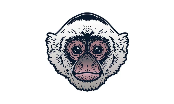 Ilustración Cabeza Capuchina Vector Dibujado Mano Aislado Sobre Fondo Claro — Vector de stock