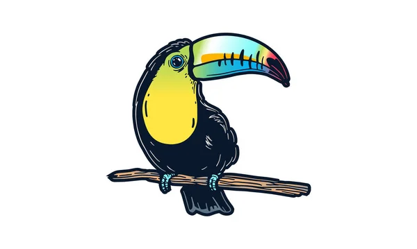 Toucan Ilustrace Vektor Ručně Kreslené Izolované Světlém Pozadí — Stockový vektor