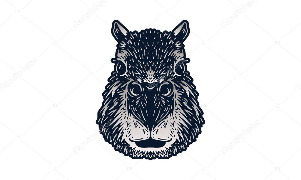 Capybara head illustration, vector, hand drawn, isolated on light background.