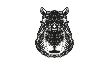 Capybara baş illüstrasyon, vektör, el çizimi, ışık arkaplanı izole