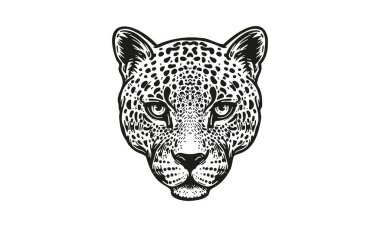Leopar çizimi, vektör, el çizimi, ışık arkaplanı üzerinde izole.