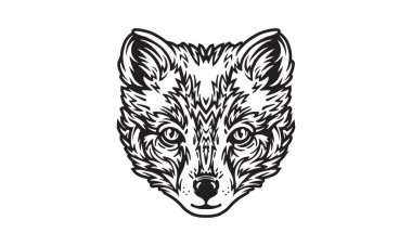 Kuzey Kutbu tilki başı illüstrasyon, vektör, el çizimi, ışık arkaplan izole.