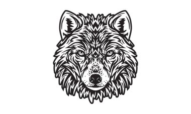 Kutup Kurdu baş illüstrasyonu, vektör, el çizimi, ışık arka planında izole edilmiş..