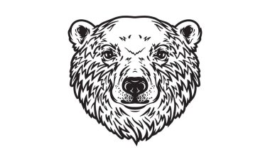 Kutup ayısı baş illüstrasyonu, vektör, el çizimi, ışık arka planında izole edilmiş.