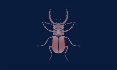 Geyik Böceği çizimi, vektör, el çizimi, koyu arka planda izole edilmiş.