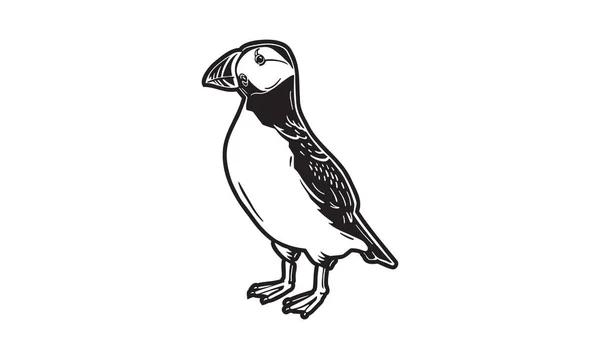 Illustrazione Puffin Vettore Disegnato Mano Isolato Sfondo Chiaro — Vettoriale Stock