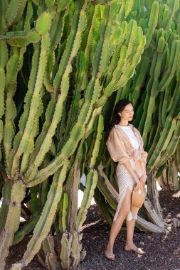full length view of stylish brunette woman standing near giant cacti in park