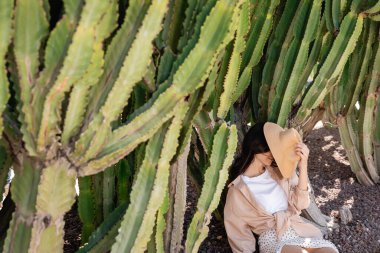 woman obscuring face with straw hat while sitting near giant cacti clipart