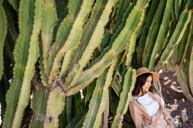 woman in straw hat relaxing under huge cactuses in park
