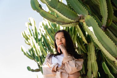low angle view of dreamy brunette woman near huge cactuses 