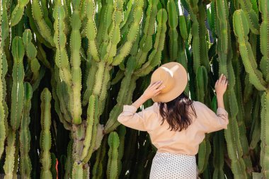 back view of woman in straw hat touching giant succulents in park