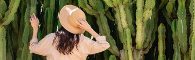 back view of woman in straw hat touching giant succulents in park, banner