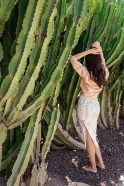 back view of brunette woman standing with raised hands near huge cacti