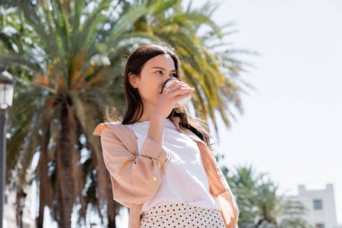 brunette woman in trendy clothes drinking coffee near palms on blurred background