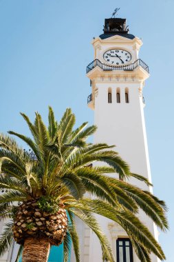 Valencia, İspanya 'daki liman binasının palmiye ağacı ve saat kulesinin alçak açılı görüntüsü