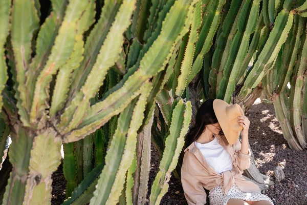 woman obscuring face with straw hat while sitting near giant cacti
