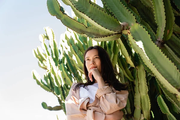 Düşük açılı esmer kadın büyük kaktüslerin yanında. 