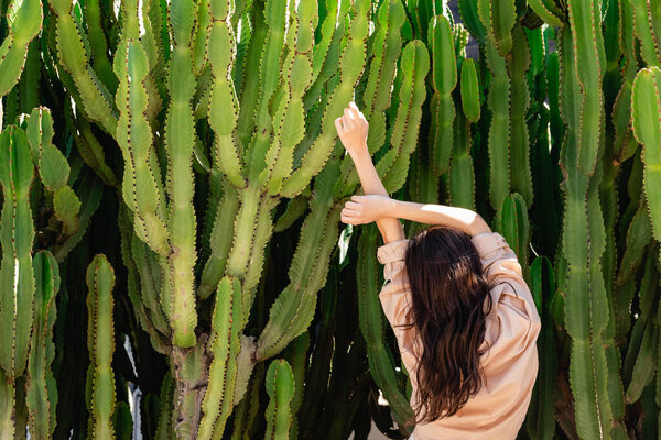 back view of brunette woman in beige shirt stretching with raised hands near giant cacti