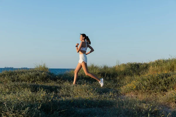 海の近くで草の上を走るショートパンツ姿の若いスポーツ女性や — ストック写真