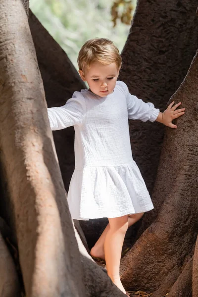 Toddler Girl Summer Dress Standing Tree Park — Zdjęcie stockowe