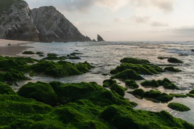 scenic view of bay with green mossy stones near ocean in portugal  clipart